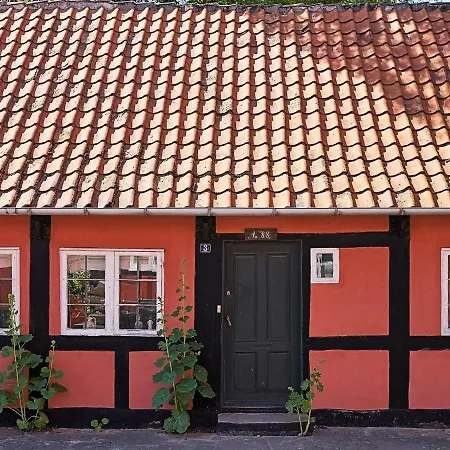 Iv Neksø